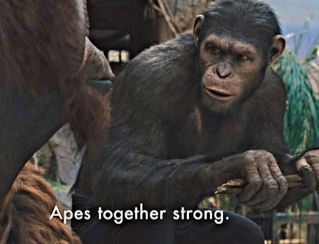 Ayush (@ayushcodes) on Twitter photo 