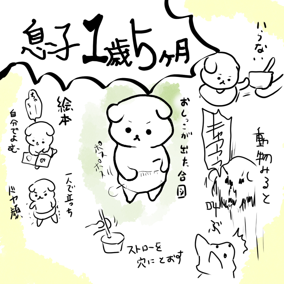 息子1歳5ヶ月。イヤがはっきりしてきた。数歩、歩けるけど、安全じゃないと全く歩かない。
頂いたファーストシューズのサイズがオーバーしないか怯える毎日。 