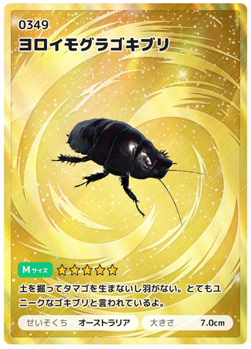 bughunt_japan's tweet photo. 【カード紹介⑧】　ヨロイモグラゴキブリ（☆５）名前のせいで損してますが、実はすごい虫らしいです。#大昆虫展　では生体展示中！#昆虫採集 #昆虫 #虫 #カブトムシ #クワガタ #昆虫展 #自由研究 #夏休み #小学生 #むしとり #アプリ #アプリゲーム #宿題　#incect #お出かけ #ヘラクレスオオカブト　#モルフォチョウ　＃カード　＃ノコギリクワガタ @exinsects