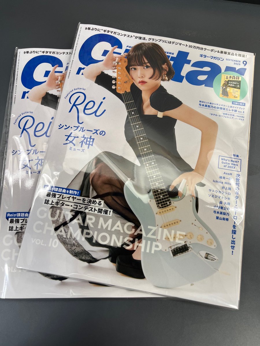 月刊プレイボーイ【ギタリスト&洋楽ベスト盤特集】 PLAYBOY - 月刊プレイボーイ【ギタリスト&洋楽ベスト盤特集】の