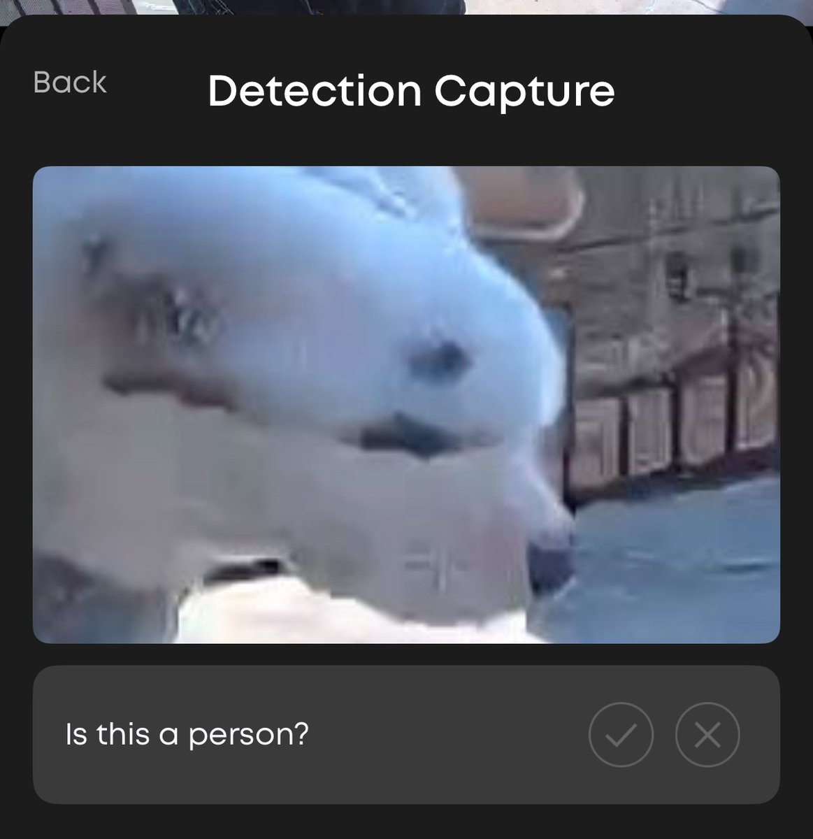 ashleydevane's tweet photo. What’s the point of a ‘smart’ doorbell camera?? https://t.co/rfg41EpwXS