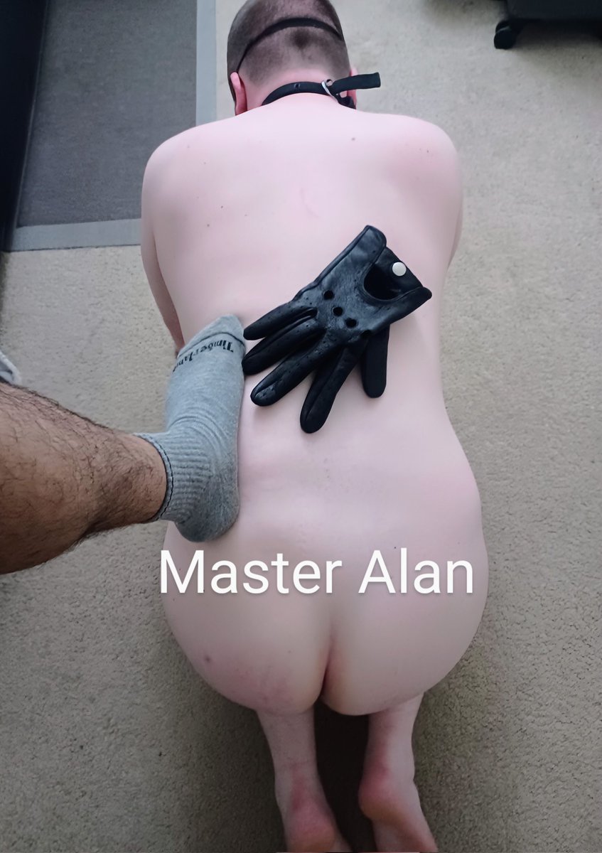alpha1_switch's tweet photo. Every inch of you exists for my comfort. Even your spine feels better under my sock and my glove
#BDSM #Findom #Paypig #Cashslave #WalletDrain #AlphaControl #DomSub #ObeyMe #LeatherDiscipline #BDSM #SubLife #Kink #HumiliationPlay #FootDomination #SockDom #GloveFetish #MasterAlan https://t.co/MeBu9WJw7T