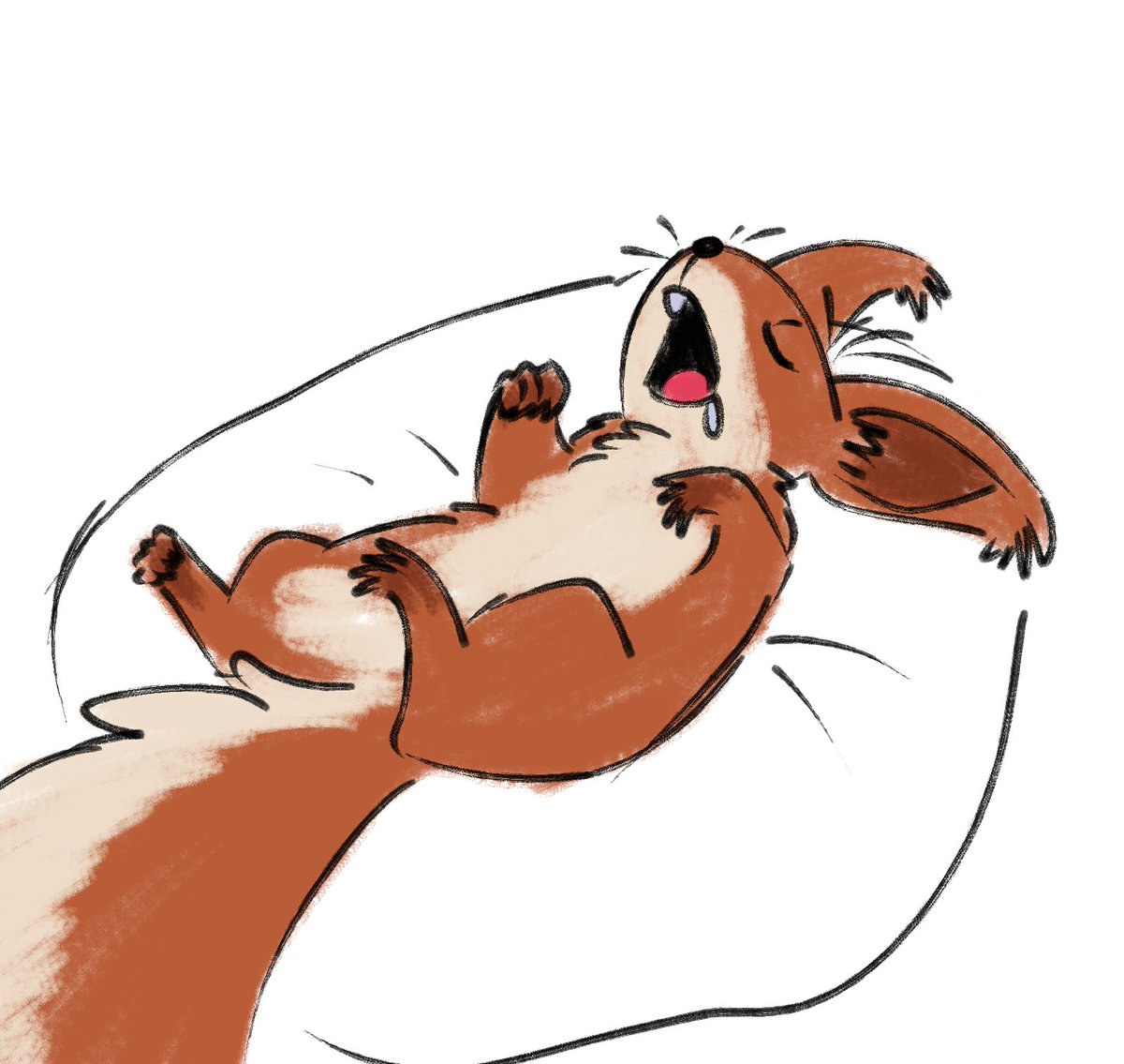 Nsomiy23's tweet image. I have to
#spirou