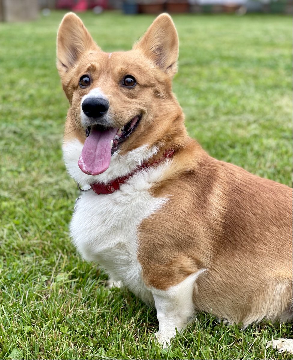 Wes Rucker (@wesrucker247) on Twitter photo 