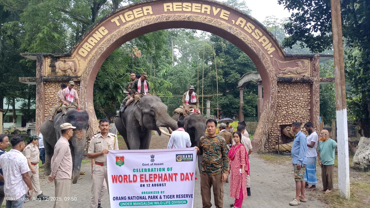 This #WorldElephantDay, we reaffirm our commitment to protecting the elephants of Orang NP&amp;TR. Together, let’s ensure a safe and thriving future for elephants through conservation, coexistence &amp; care.
<a href="/CMOfficeAssam/">Chief Minister Assam</a> <a href="/cmpatowary/">Chandra Mohan Patowary</a> <a href="/assamforest/">Assam Forest Department</a> <a href="/ntca_india/">National Tiger Conservation Authority</a> <a href="/mkyadava/">mkyadava</a> <a href="/pradiptabaruah/">pradipta baruah</a>