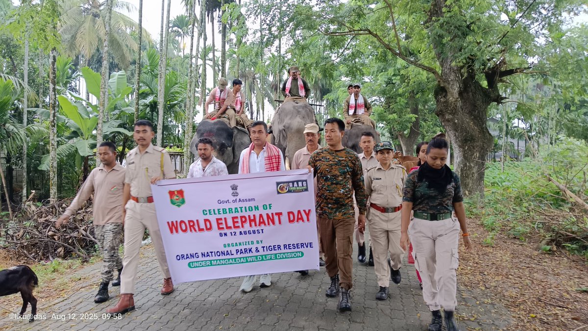 Mangaldoi Wildlife Division tweet media