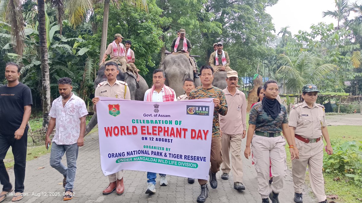 Mangaldoi Wildlife Division tweet media