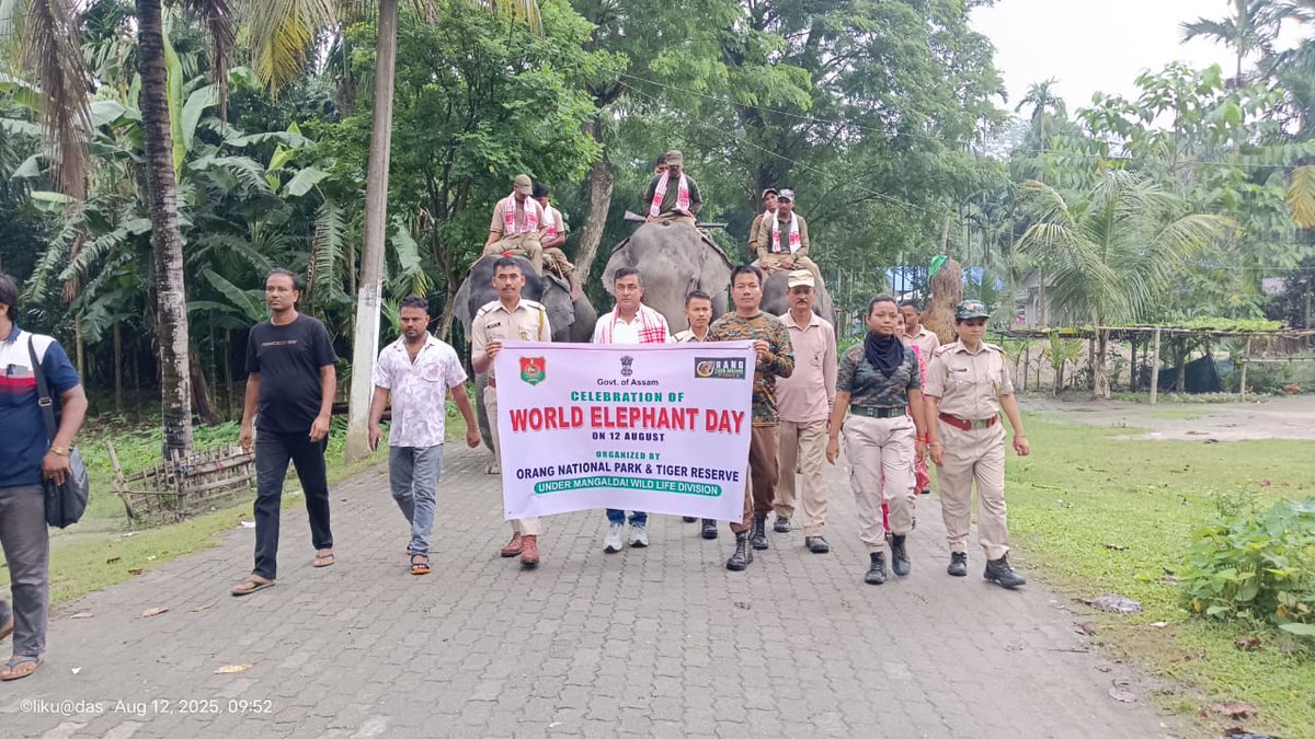 Mangaldoi Wildlife Division tweet media