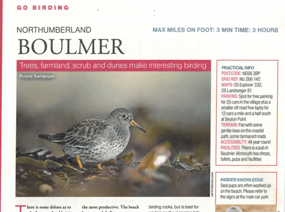 Steve Newman (@steevnewman) on Twitter photo Huge thanks to Birdwatching Magazine for running my piece on Boulmer in Northumberland.
birdwatching.co.uk <a href="/polyolbion/">Matt Merritt</a> <a href="/TomCadwallender/">Tom Cadwallender</a> <a href="/SteelySeabirder/">David Steel</a> <a href="/gannetrocks/">Maggie Sheddan</a> <a href="/NTBirdClub/">Northumberland & Tyneside Bird Club</a> <a href="/catidball/">Carole Tidball</a> <a href="/VisitNland/">Visit Northumberland</a> <a href="/VisitNlandbiz/">Visit Northumberland DMO/LVEP</a> Huge thanks to Birdwatching Magazine for running my piece on Boulmer in Northumberland.
birdwatching.co.uk <a href="/polyolbion/">Matt Merritt</a> <a href="/TomCadwallender/">Tom Cadwallender</a> <a href="/SteelySeabirder/">David Steel</a> <a href="/gannetrocks/">Maggie Sheddan</a> <a href="/NTBirdClub/">Northumberland & Tyneside Bird Club</a> <a href="/catidball/">Carole Tidball</a> <a href="/VisitNland/">Visit Northumberland</a> <a href="/VisitNlandbiz/">Visit Northumberland DMO/LVEP</a>