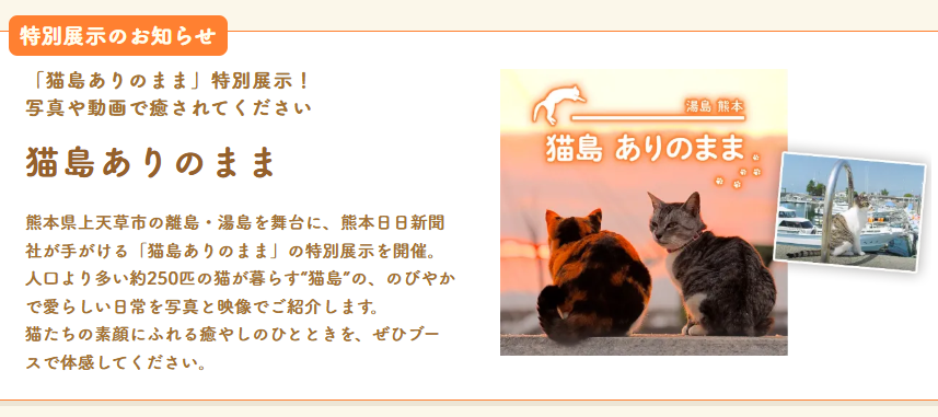 Kumanichi_digi's tweet photo. 【🐈猫関連のお知らせ🐈】

なんと、猫島ありのままが

＿人人人人人人人人人人人人＿
＞　イベントに出るぞ！！　＜
￣Y^Y^Y^Y^Y^Y^Y^Y^Y^Y￣

当日はノベルティ配布や、チャリティグッズ販売を予定しています！鋭意準備中！！！

#熊日猫島
【カントリー＆クラフトフェア】
https://t.co/4MtJ90rFAr https://t.co/1QvlVCWWoF