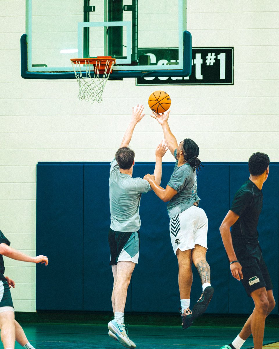 Patrick Robinson tweet media