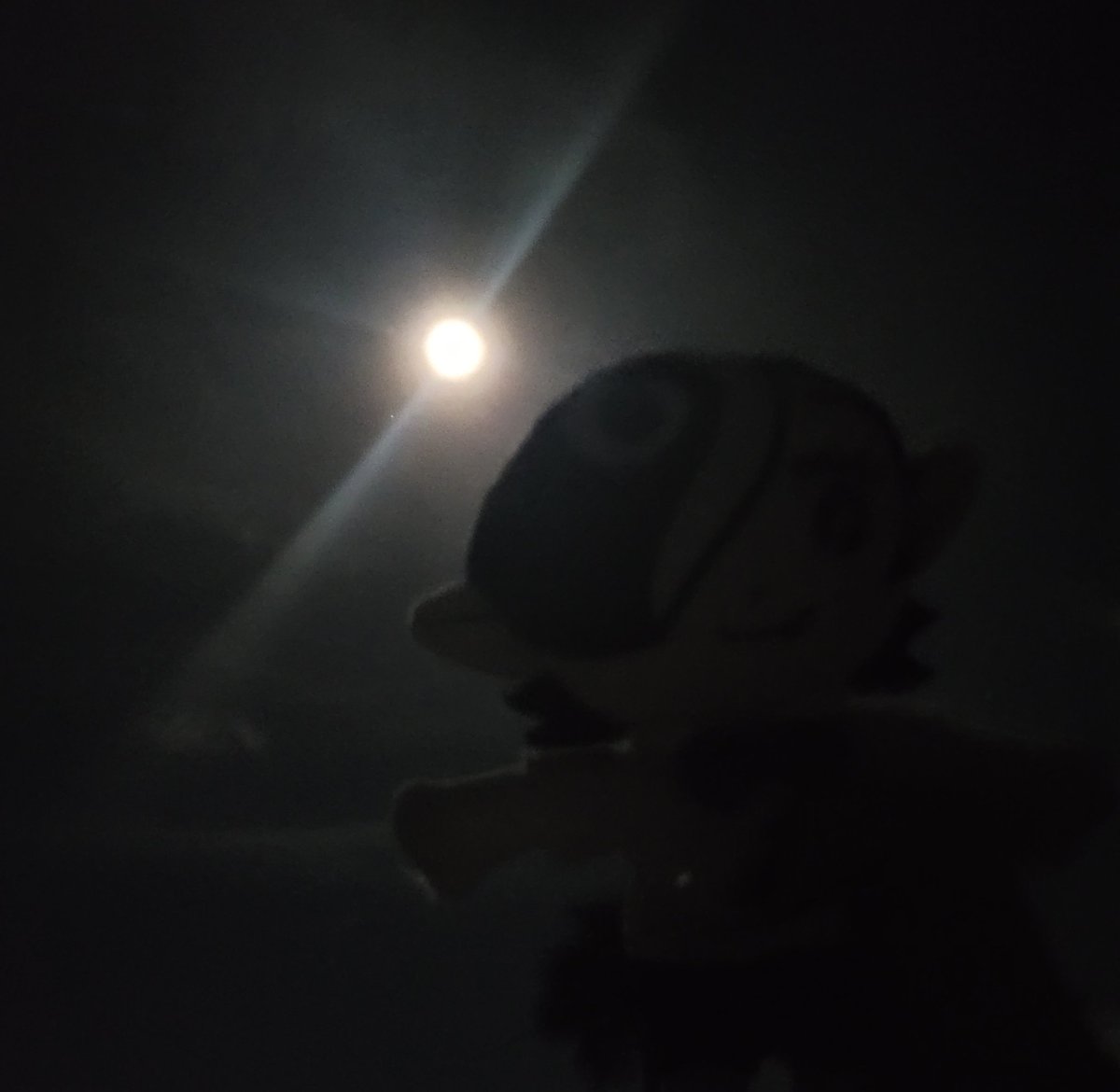 BattsRule's tweet photo. Meteor shower at the beach tonight :3 #devilscandy https://t.co/R5E8DEhx6P
