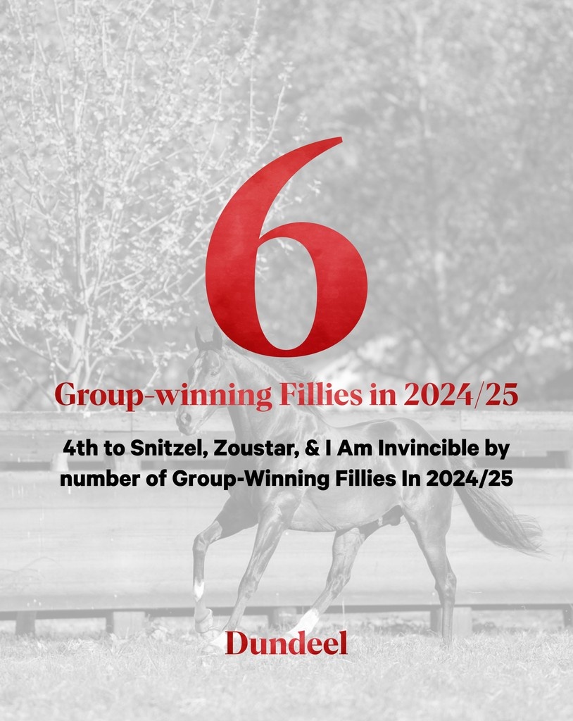 Arrowfield Stud tweet media