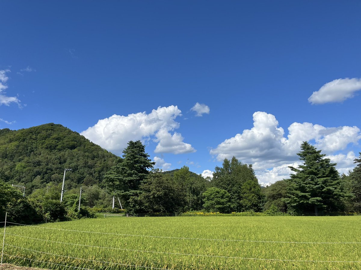 Azu66544294's tweet photo. 上川町に来ています。
ここに住んでいた妻の祖母が昨年101歳で亡くなったため、この場所に来る事はもう無いのかな…と、寂しい気持ちでいっぱいでしたが、義母が家を残してくれたので、今年もまた此処に来る事が出来ました。

先ほど到着して大掃除が終わったので、これから層雲峡で温泉と花火です！ https://t.co/b4mrKtgqTm