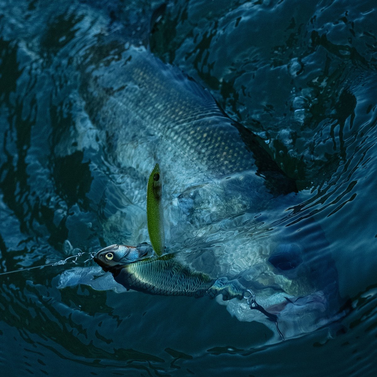 ⭐新品未開封⭐HAMAMATSU FIRE3点セット Megabass メガバスオンラインショップ