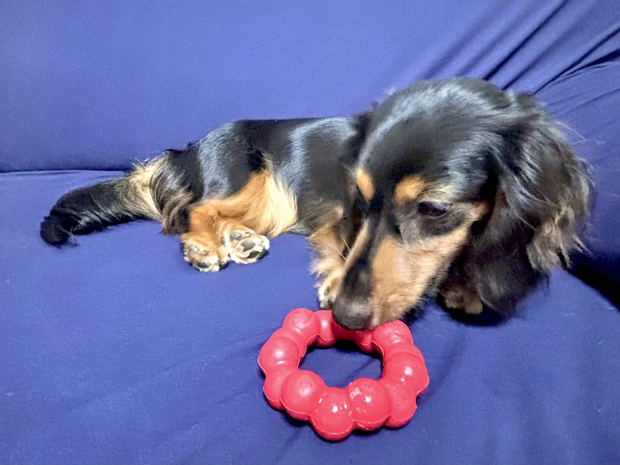 なつちゃん専用ページ❤︎ なっちゃん (@723cc110puko) / X