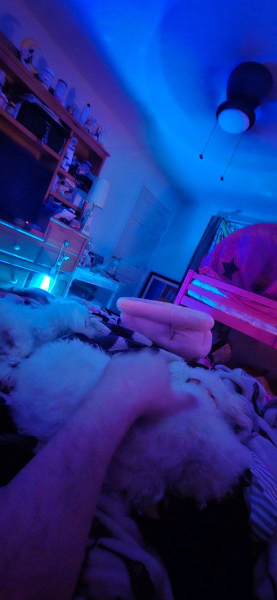 BloodravenD's tweet photo. Sleepy pupper time 💤 https://t.co/hiJVTLK7oY