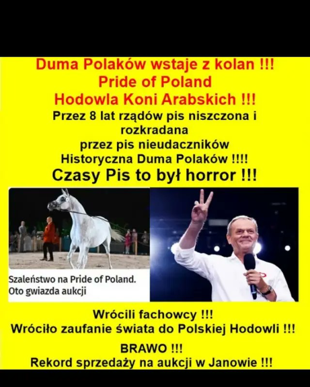 Wystarczyło wygonić szkodników i złodziei z pisu, zatrudnić prawdziwych hodowców fachowców...
A wszystko wraca do normalności i dawnej wspaniałości, jest się czym pochwalić...👍👍👍😉