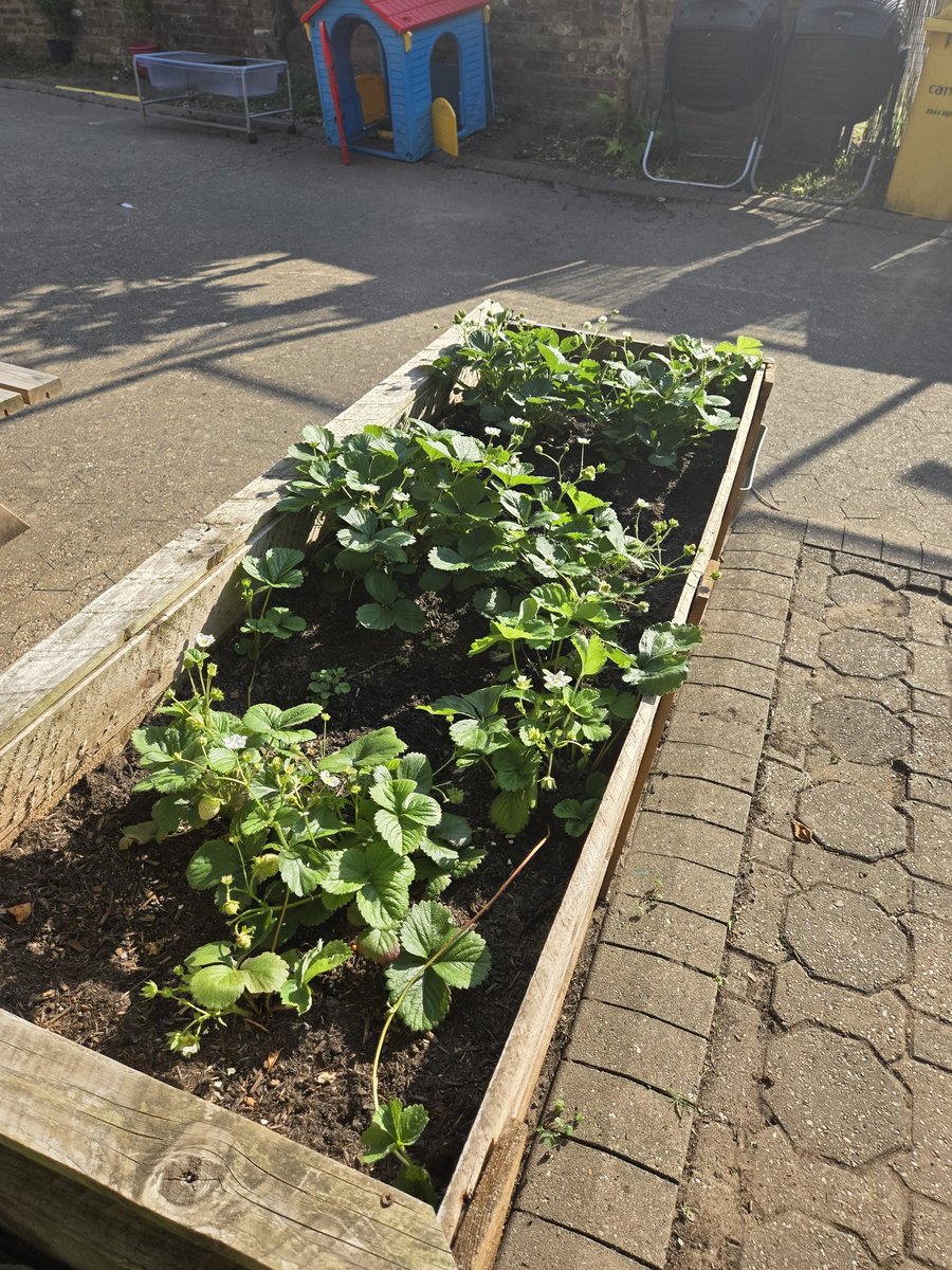 London Disability tweet media