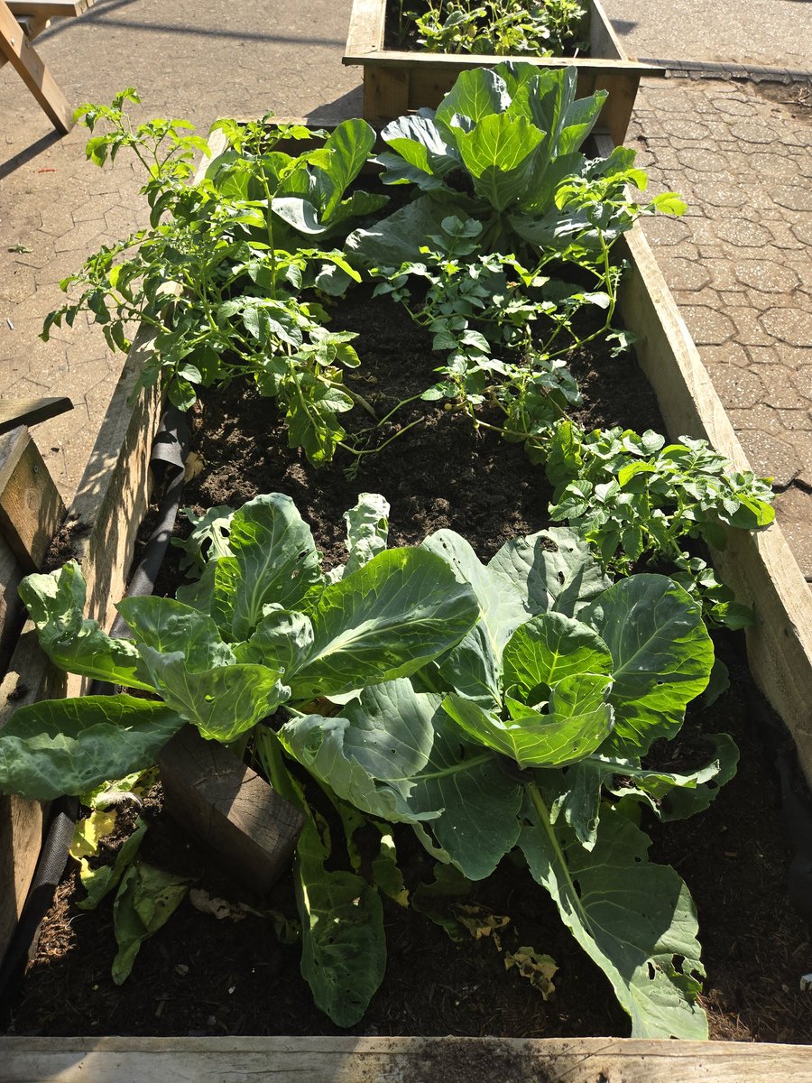 London Disability tweet media