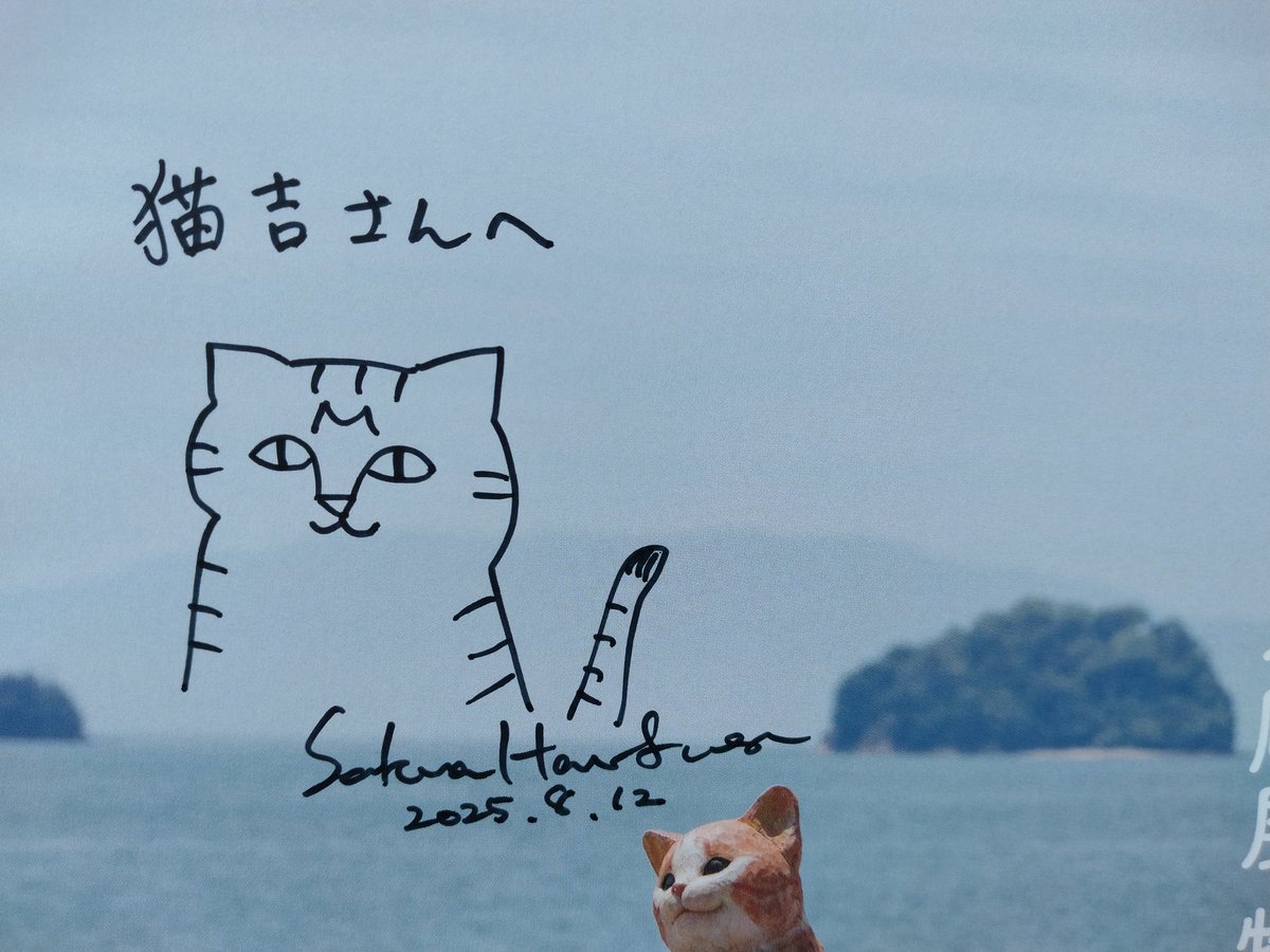 猫吉 (@nekokichi712) / X