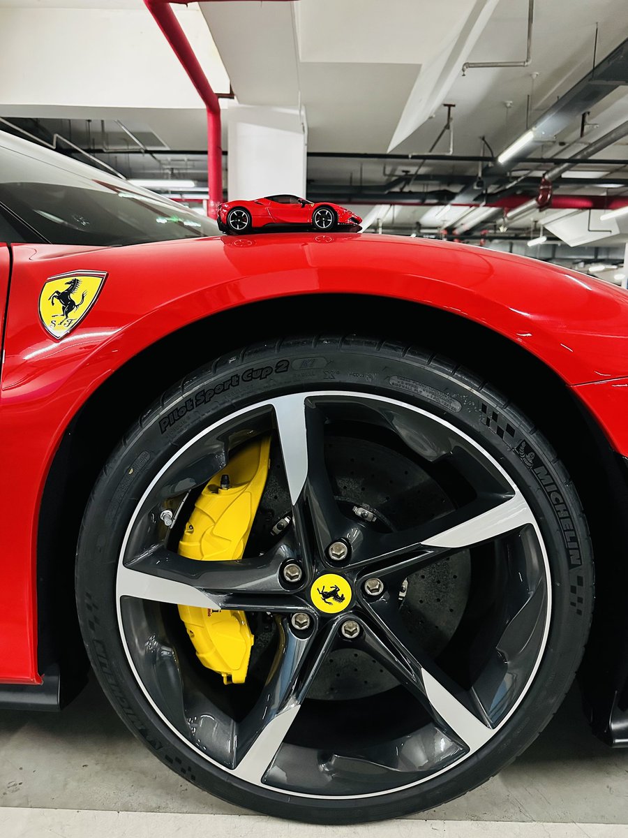 鸟哥 | 蓝鸟会🕊️ tweet media