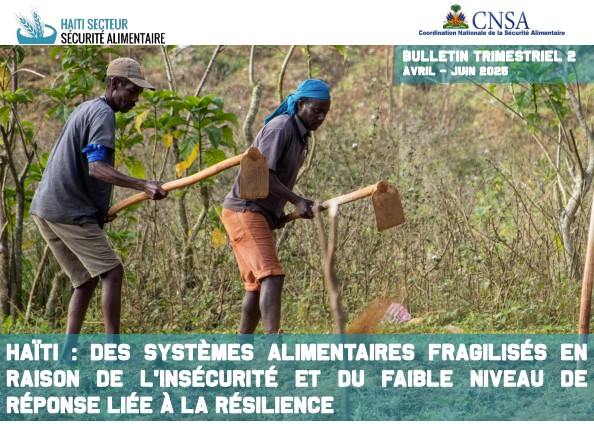 FSCluster's tweet photo. #Haiti.
❗ 5,7 million people acutely food insecure
❗ 3% increase in cost of  a family food basked
❗ 1.3 million IDPs
❗ Over 3.800 gender-based violence incidents reported in 3 months
 ❗ Constrained humanitarian access

Read the cluster's report 
🔗 https://t.co/oajqTUwqAq https://t.co/4hYAD7aHoL