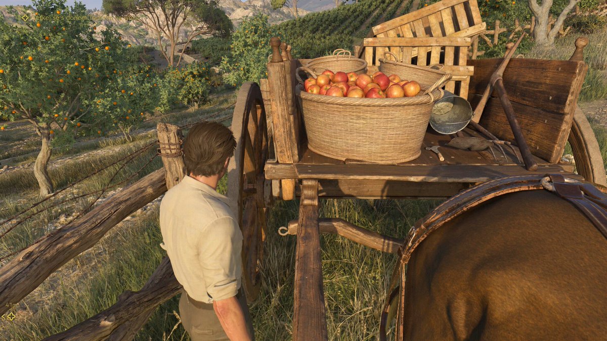 Pavlína Nouzová tweet media