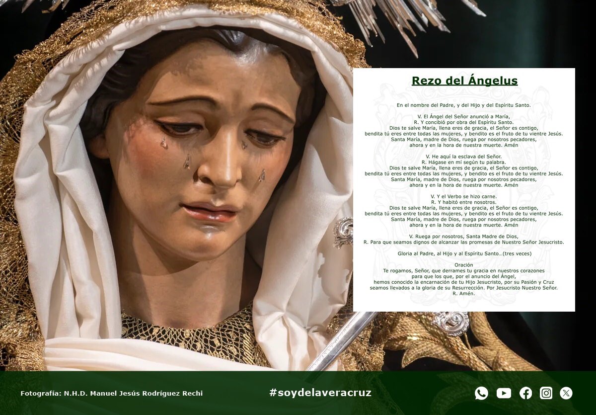 Hdad de la Vera+Cruz tweet media