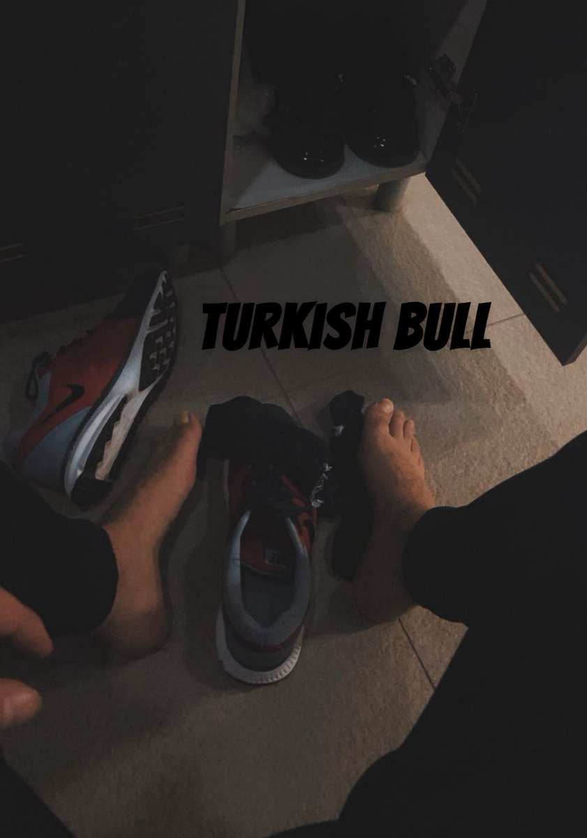 Turkish Bull #MNWO 🇹🇷 tweet media