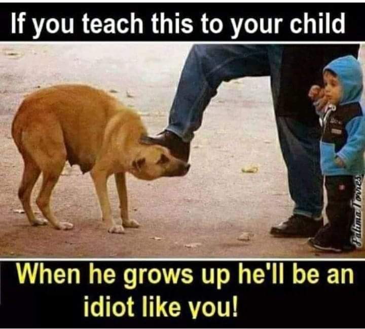 HBanodha17915's tweet image. #JusticeForDogs
सुप्रीम कोर्ट दिल्ली से देश को क्या यही संदेश देना चाहता है 👎🤔