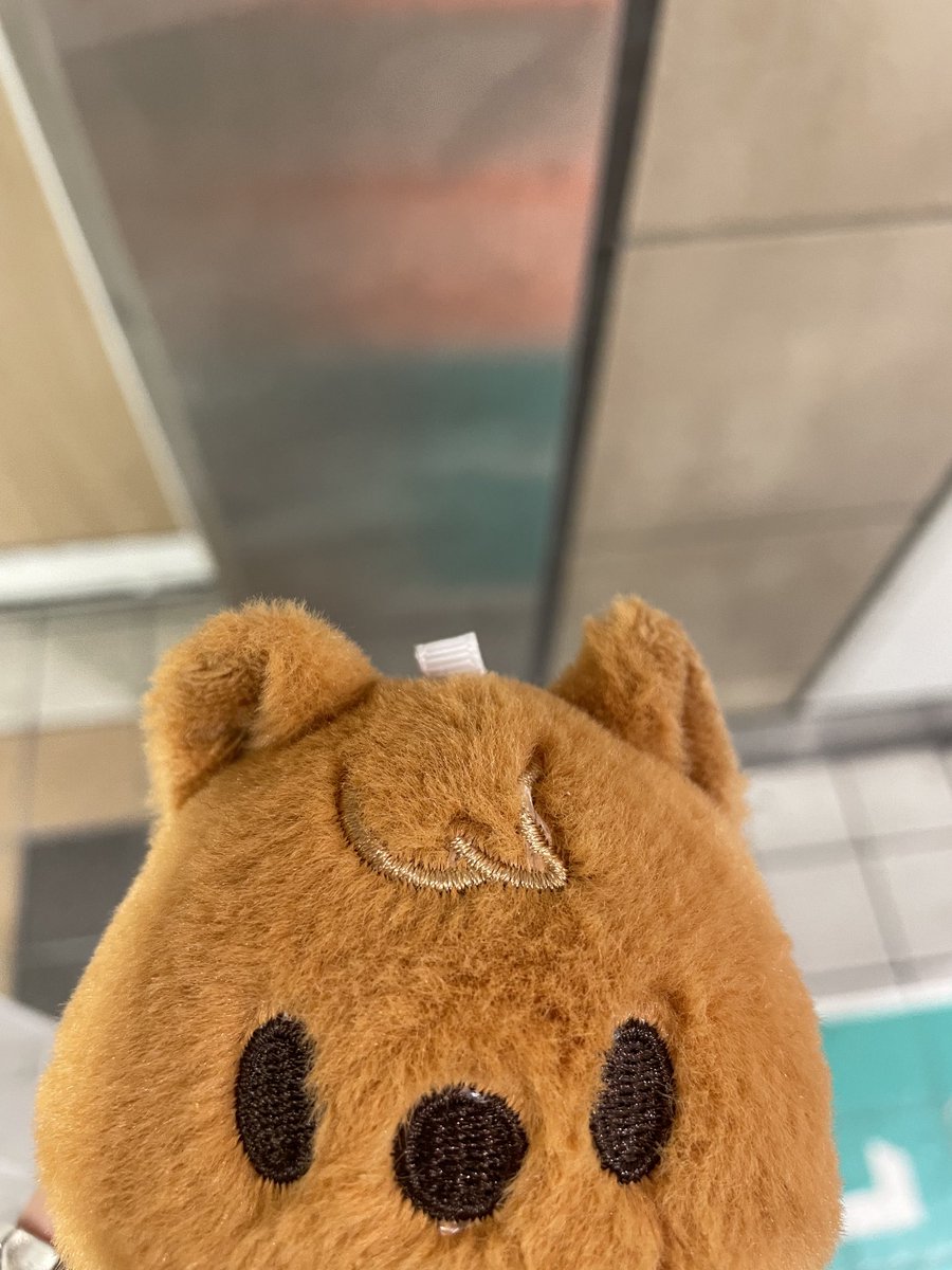 ※拡散希望※

クォッカちゃん拾いました！！
都内の駅です！！
15:20頃です。

駅員さんに預けます！
▫️駅名と
▫️顔から下は
持ち主さんSTAYならわかると思うので載せません。

持ち主STAYのところに帰れますように🙏

#落とし物
#落とした
#なくした
#クウォッカ
#ぬい
#STAY