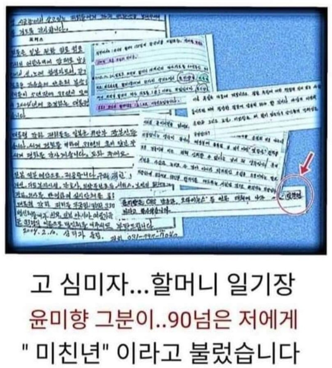 故심미자 할머님께 "미친년"이라고 쌍욕한 윤미향.