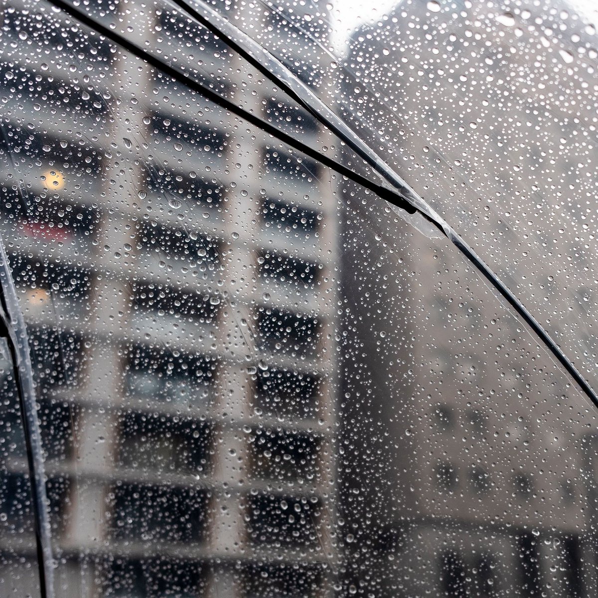 Lewis Bush tweet media