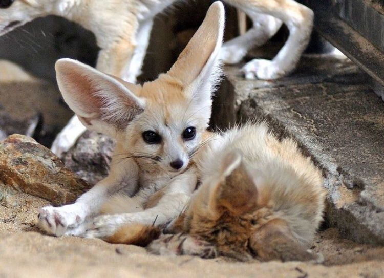 Quantum Quester (@_quantumquest) on Twitter photo 