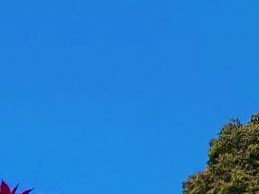 runaaamouse's tweet photo. 青い空を見上げ深呼吸
大丈夫　大丈夫
仲間がたくさん待ってる
ねっ！

#あの子たち
#そっとエール https://t.co/z9GLxtdKVA