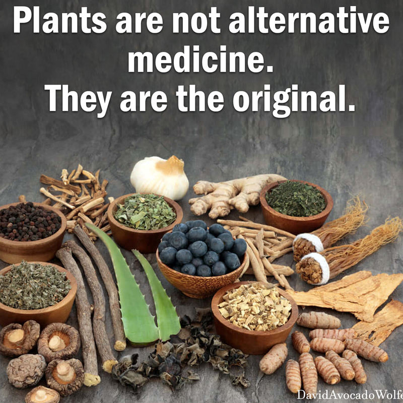 OrganicLiveFood's tweet photo. Never take a pill that has more side effects than you have symptoms. 

Top herbal remedies to keep in your medicine cabinet   🌿    👇    🩺