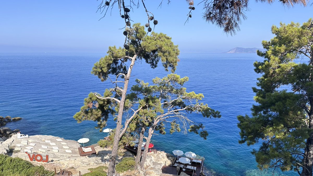 Alp Özgün Börcek (@alpborcek) on Twitter photo 