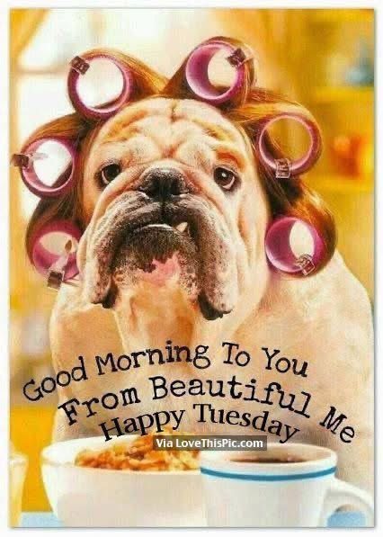 Good morning everyone from sunny Clacton ❤️💙