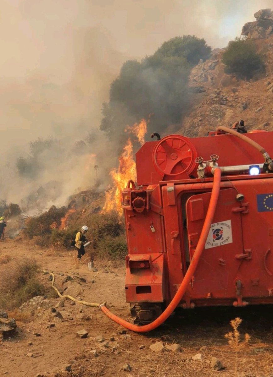 #MardiBestioles (🧵5/5)

Caractéristiques techniques :
Dimensions : 5,3 m (L) x 2,7 m (l) x 1,9 m (h)
Poids : 9 T (vide) / 15 T (PTAC)
Moteur : Detroit Diesel 6V53T, 275 ch
Capacités : pentes jusqu’à 60° devers jusqu’à 30°
Vitesse : 66 km/h (route) 6 km/h (eau)
Autonomie : 480 km