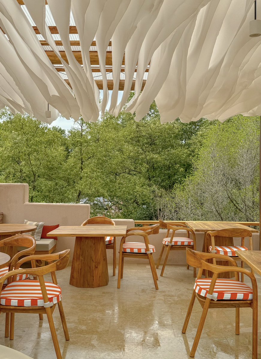 𝐒𝐮𝐦𝐥𝐞𝐞 🏷 tweet media