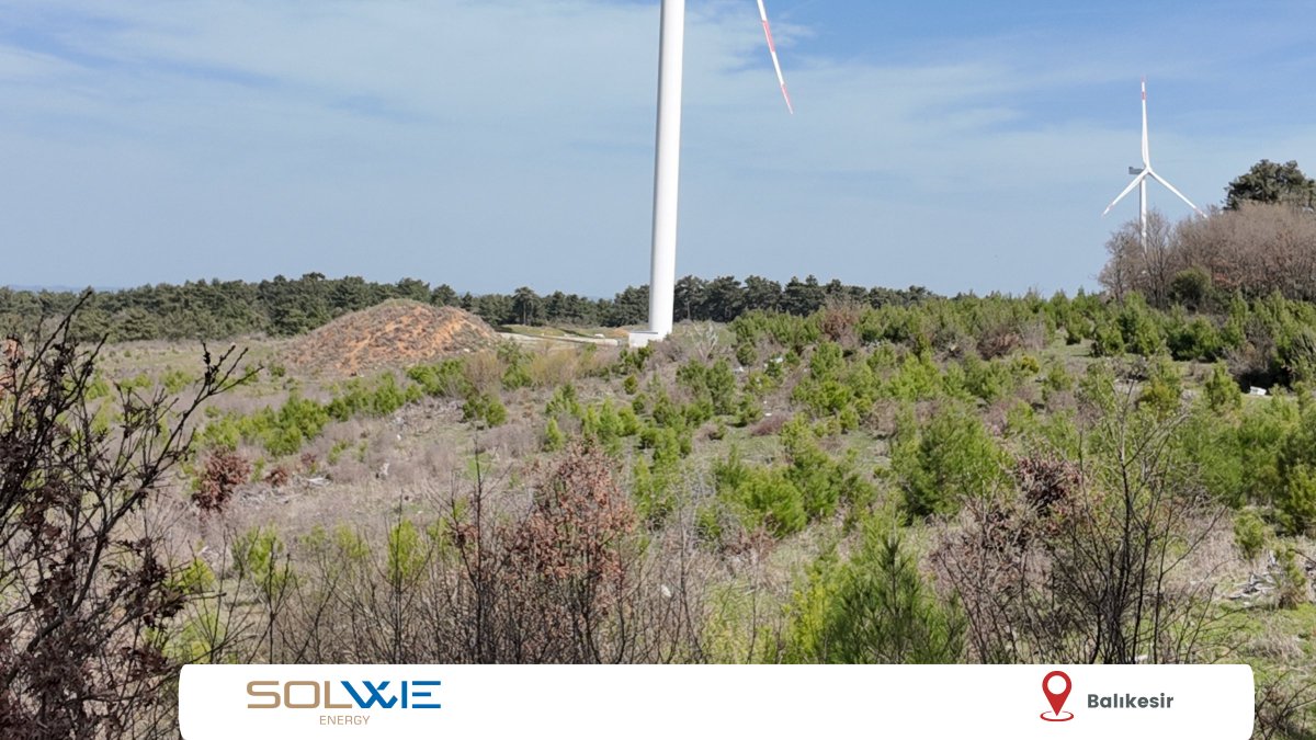 Projelerimiz ile doğaya kazandırdığımız 259 bin ağaç, yaklaşık 8.634 dönüm orman alanına eşdeğer. Solwie Energy olarak, yenilenebilir enerji projelerimizle karbon salımını azaltmaya, doğal yaşamı korumaya ve Türkiye’nin sürdürülebilir geleceğine katkı sağlamaya devam ediyoruz.
