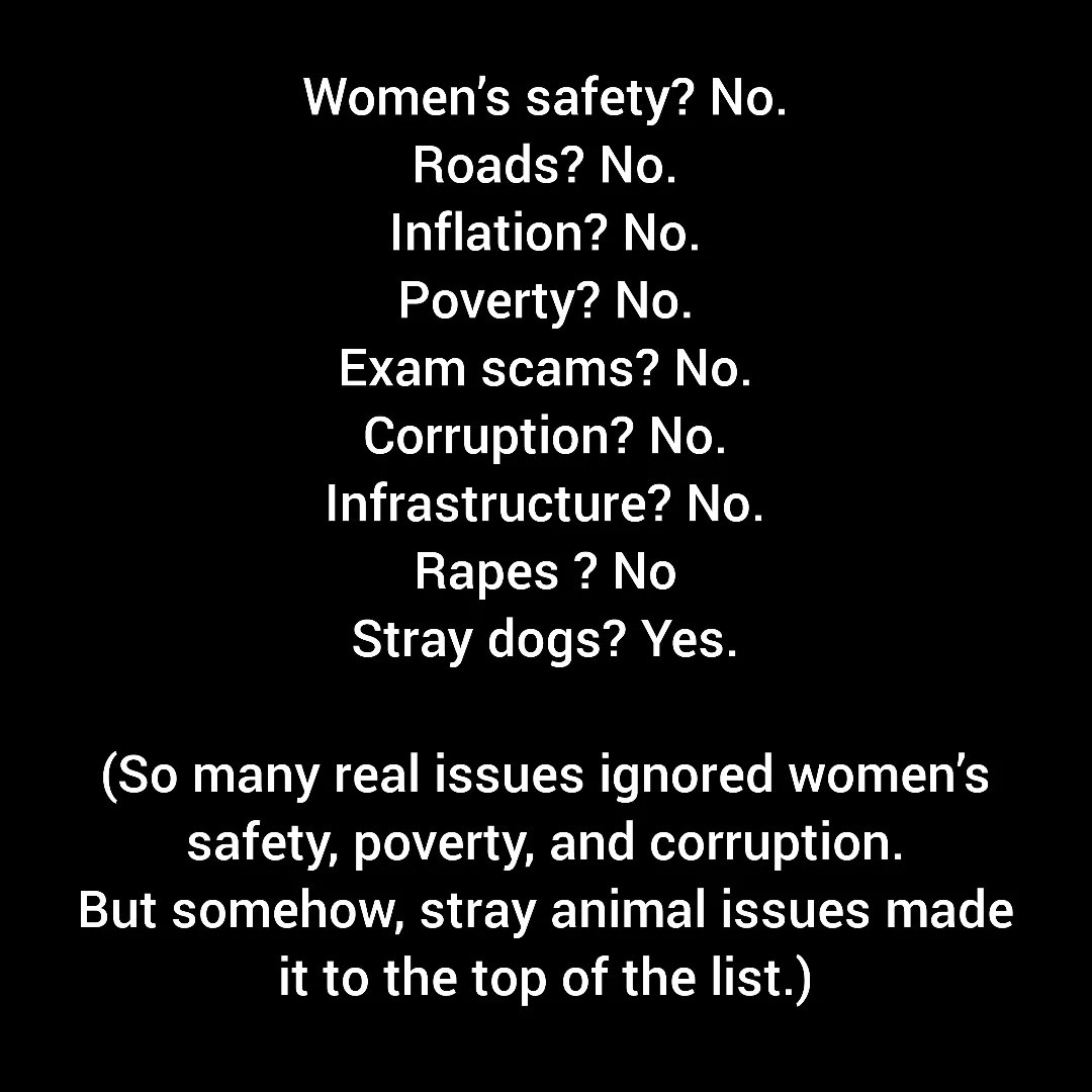 Streetdogsofbombay #Feedastrayeveryday tweet media