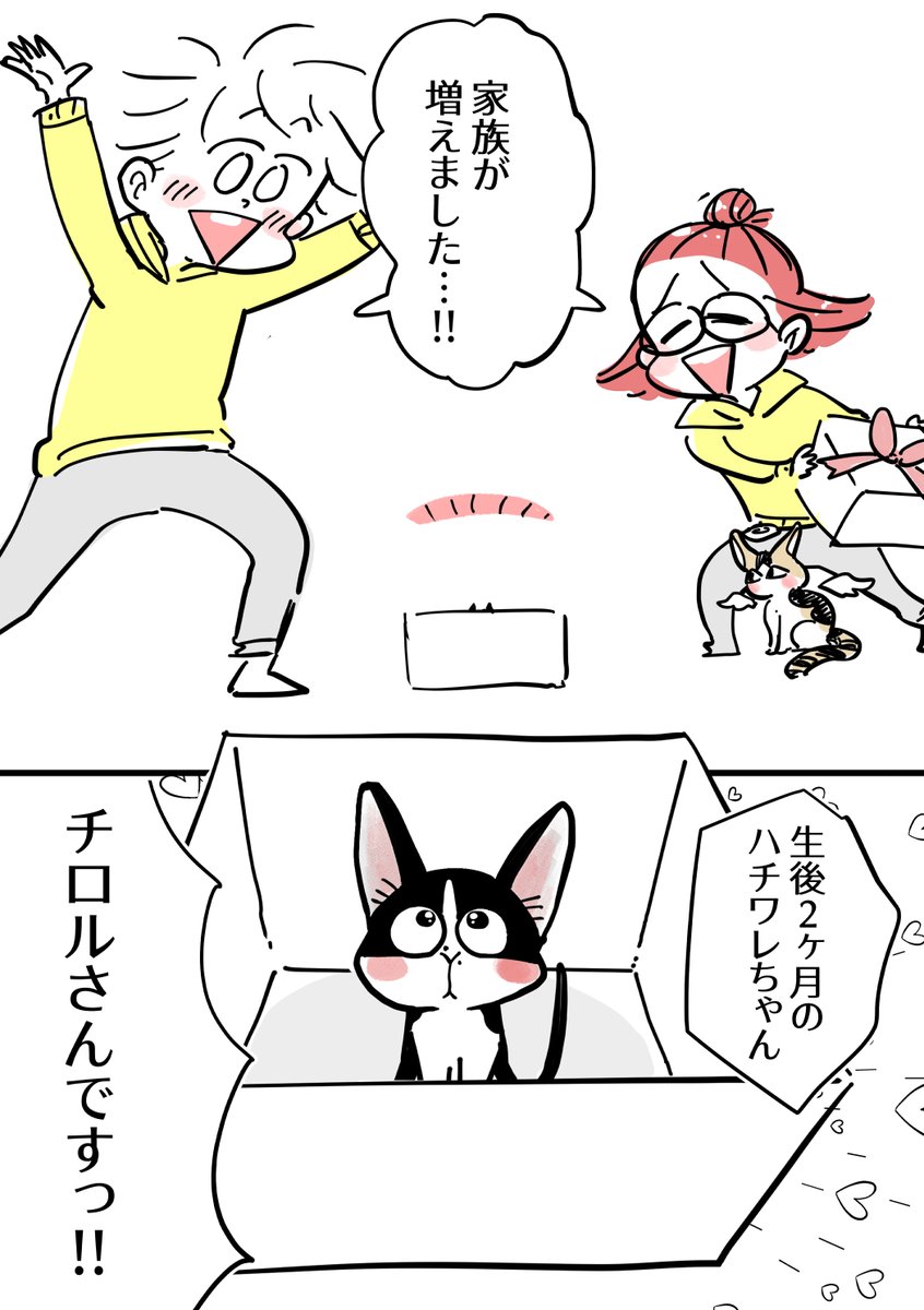 ツナマヨ🍙マロン🌰 (@tunamayo0704) / X