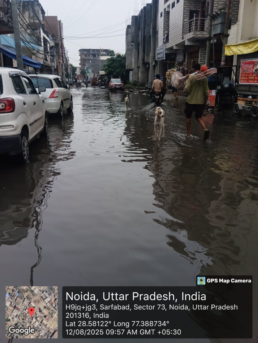SourabhYaduva20's tweet image. @sarafabad sector 73 noida 12 Aug 2025 @CeoNoida @noida_authority @dmgbnagar @CMOfficeUP @myogiadityanath @CPCB_OFFICIAL जल भराव से जल प्रदूषण , फिर बिमारी तेजी से गांव के लोगों की समस्याओं का कोन जिम्मेदार ? @InduPrakashPCS