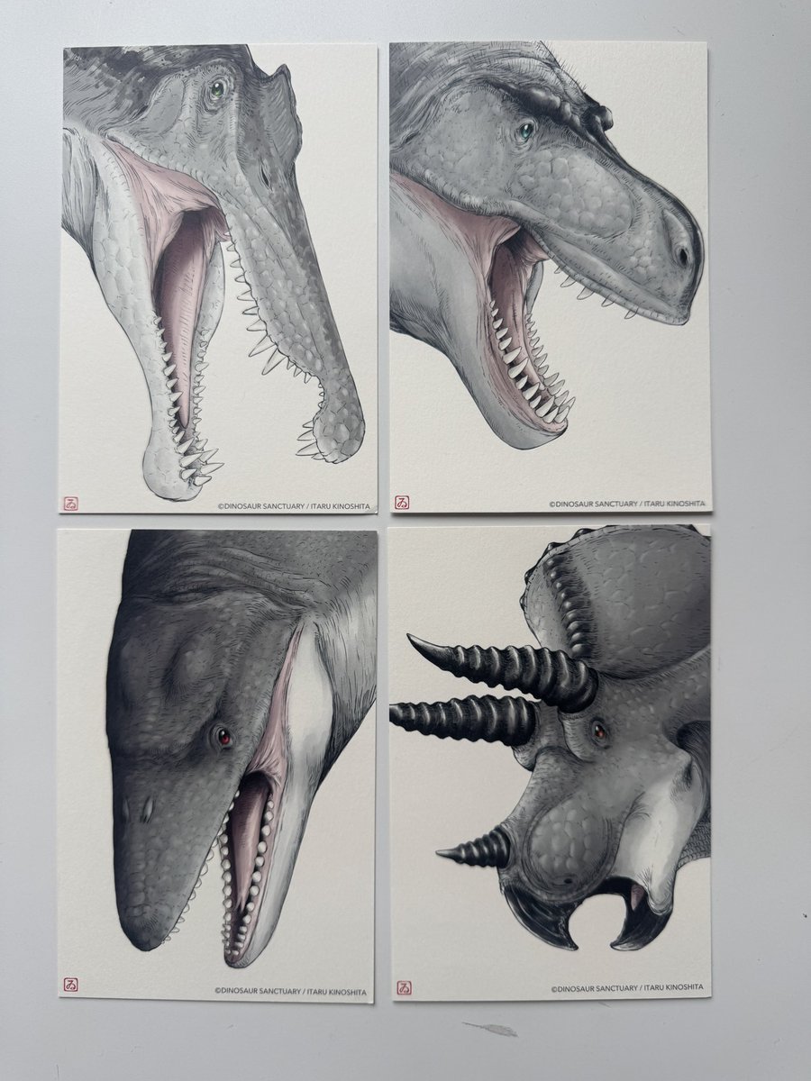 Japanese edition of Dinosaur Sanctuary's picture book is now