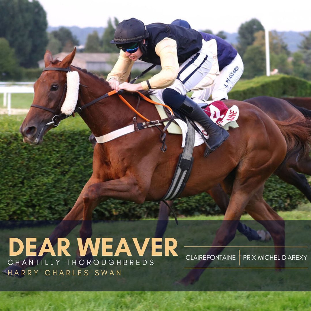 Hugo Merienne (@hmerienneracing) on Twitter photo 🥇 And that’s three in a row for DEAR WEAVER, who under the saddle of <a href="/HarrySwan15/">Harry Swan</a> wins the Prix Michel d’Arexy for <a href="/ChantillyTbreds/">Chantilly Thoroughbreds</a> <a href="/willsangwin190/">Will Sangwin</a> <a href="/Natbarnett/">Nathaniel Barnett</a> <a href="/KateTracey12/">Kate Tracey</a>
Congratulations to everyone involved and well done to the team! 🥂 🥇 And that’s three in a row for DEAR WEAVER, who under the saddle of <a href="/HarrySwan15/">Harry Swan</a> wins the Prix Michel d’Arexy for <a href="/ChantillyTbreds/">Chantilly Thoroughbreds</a> <a href="/willsangwin190/">Will Sangwin</a> <a href="/Natbarnett/">Nathaniel Barnett</a> <a href="/KateTracey12/">Kate Tracey</a>
Congratulations to everyone involved and well done to the team! 🥂