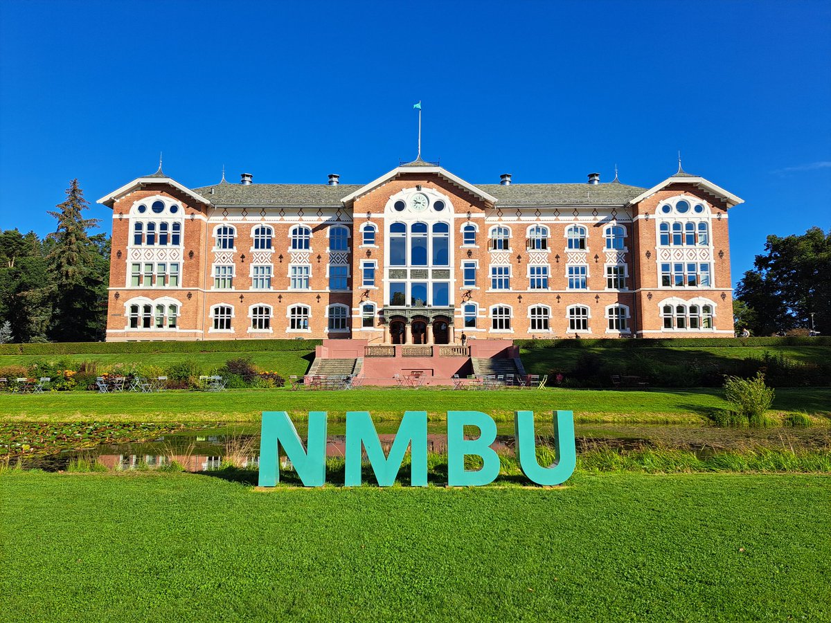 Gareth Difford 🇳🇴🇿🇦🇬🇧 tweet media