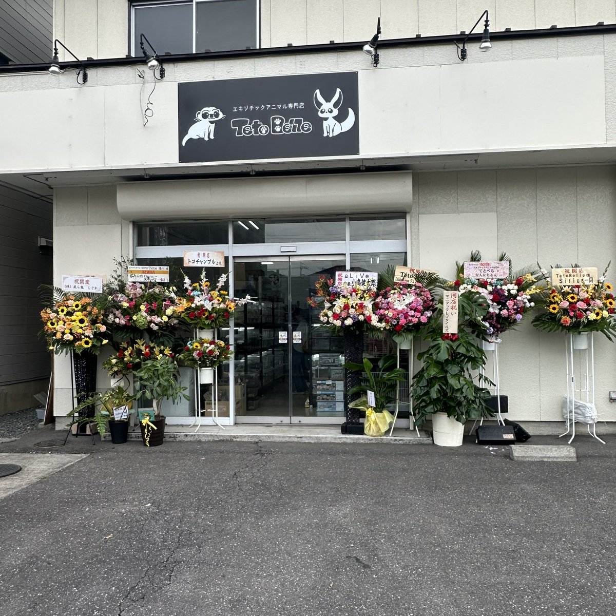 新規Openしたテトベルさんに寄らせいただきました。
伊勢崎インターからも近く、スタッフさんも親切です😁
是非、群馬県に来た際はお立ち寄りください👍
<a href="/tetobelle/">TetoBelle</a>