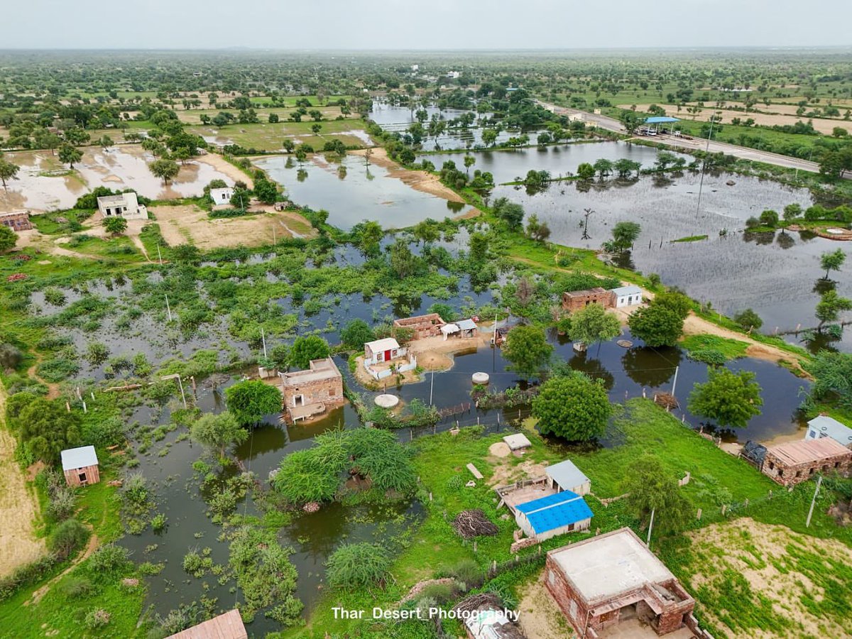 Harish Chaudhary tweet media